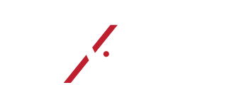 2x Group Logo